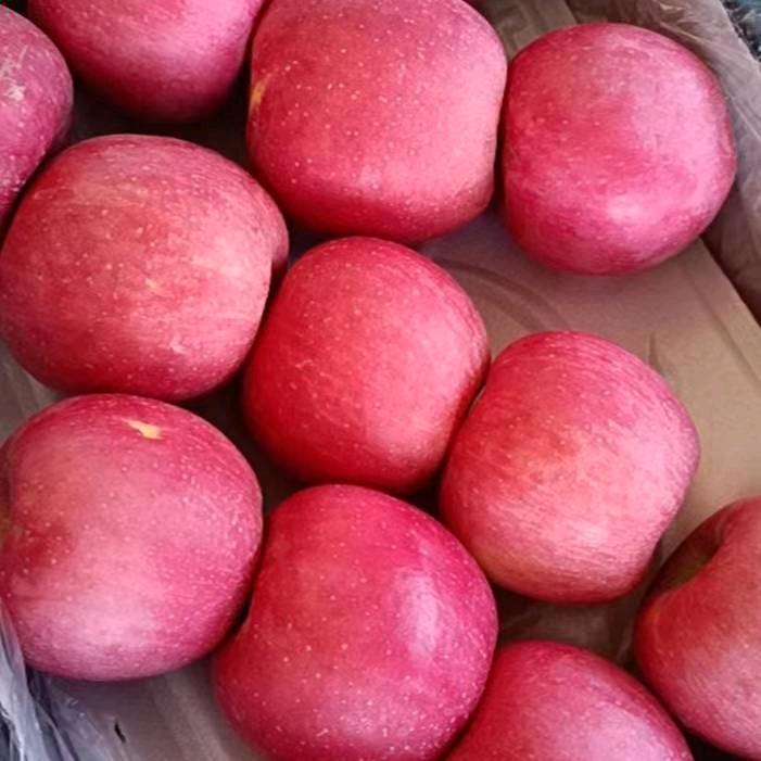 天道酬勤，一切顺其自然