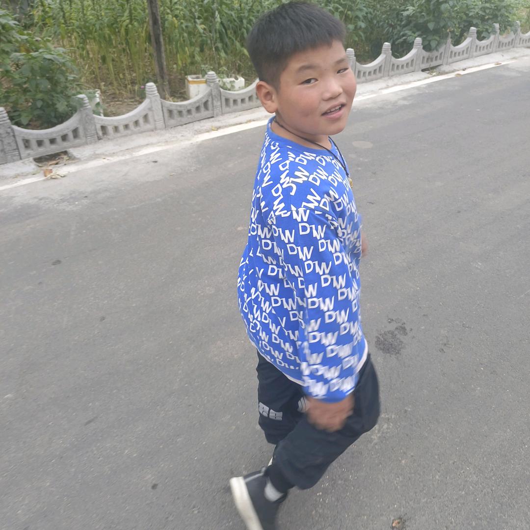 林飞桥架