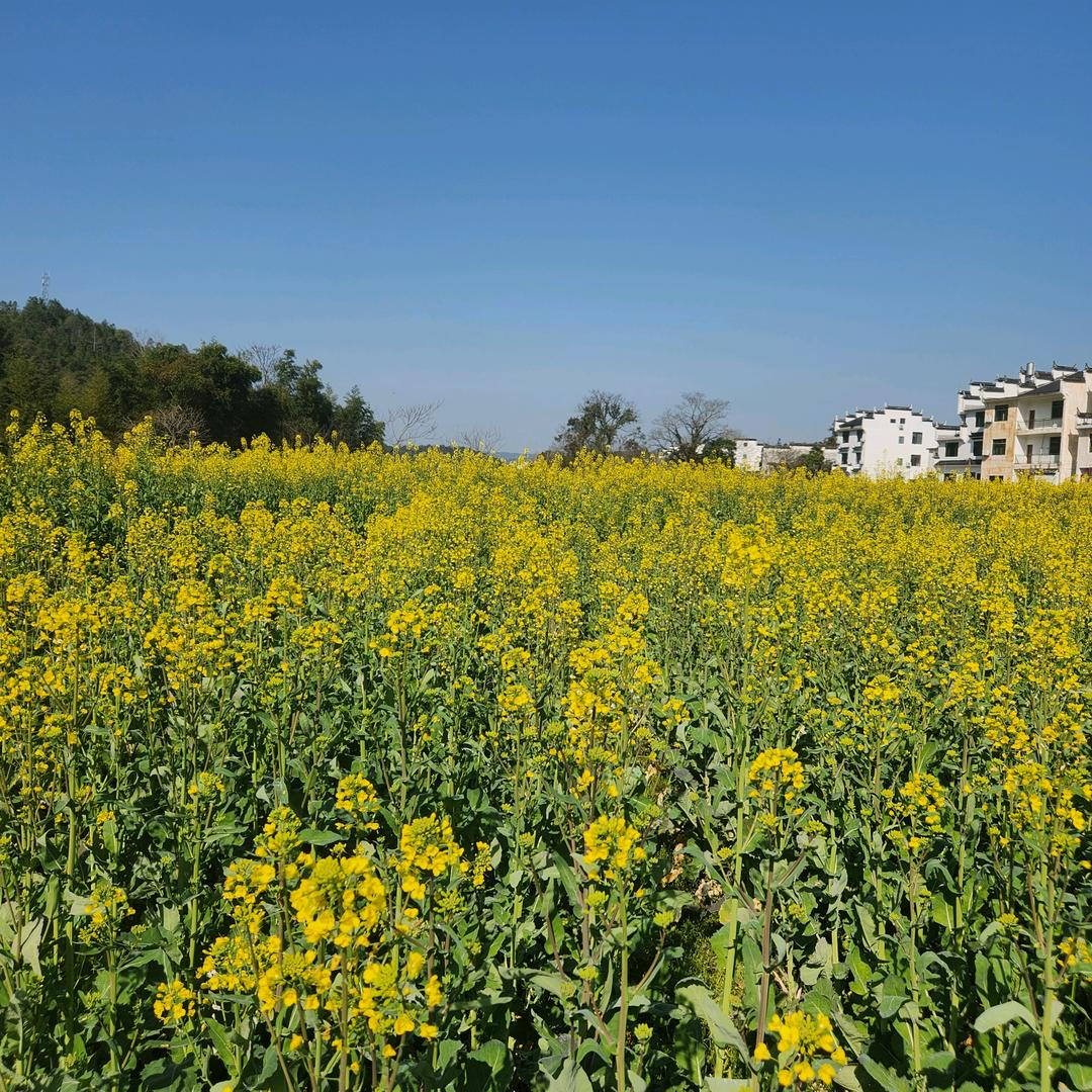豪豪户外用品店