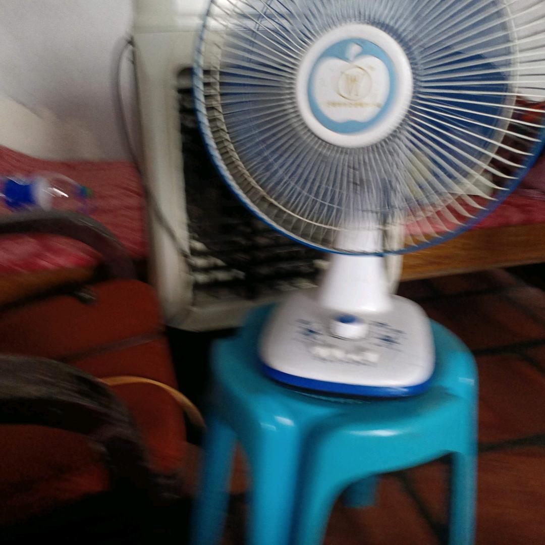 楚虹