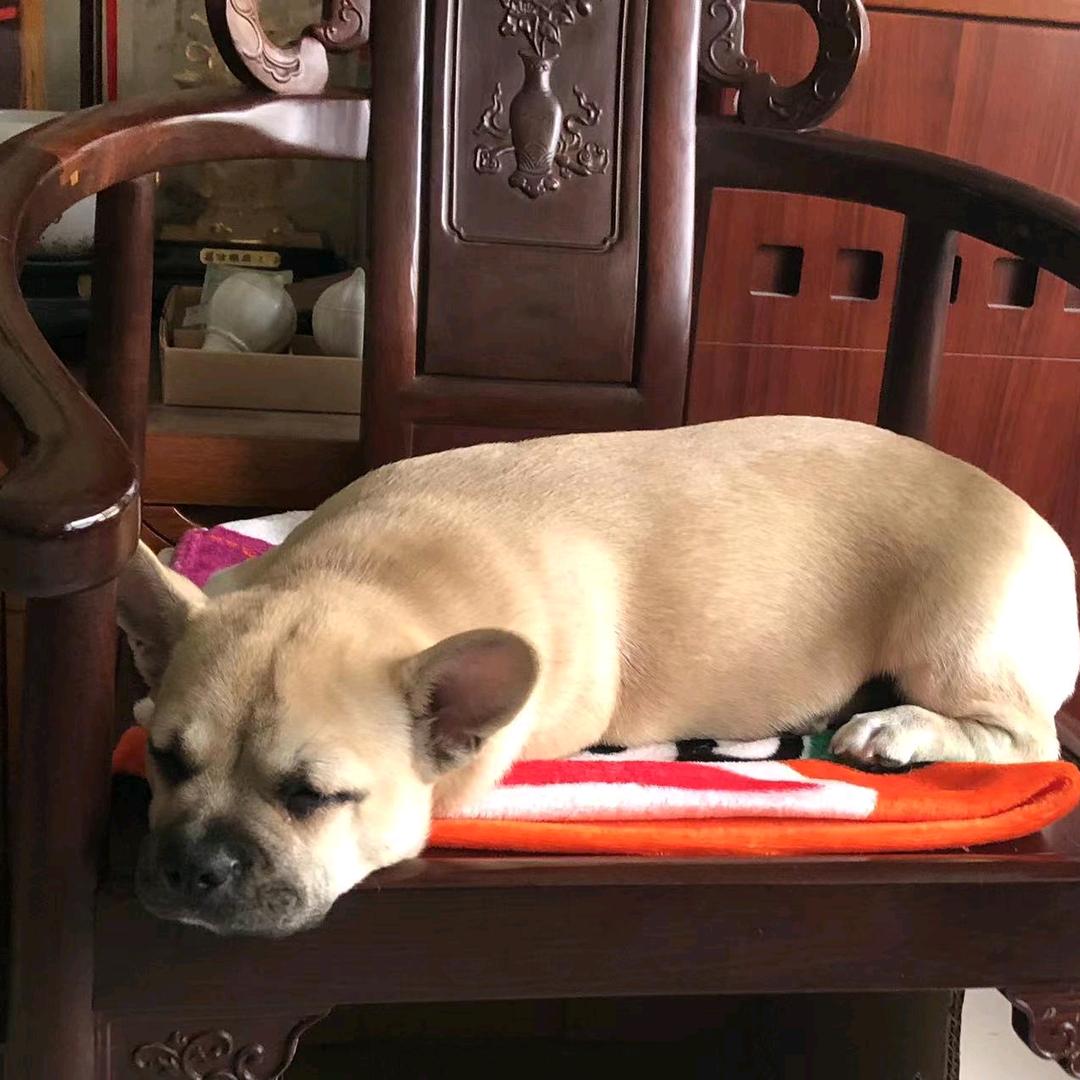 秀儿奶奶