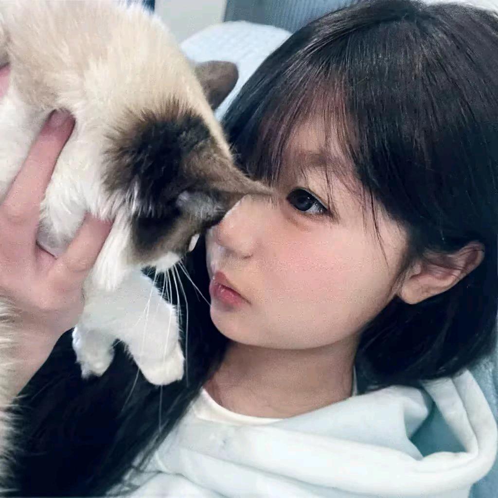 翻篇🐾