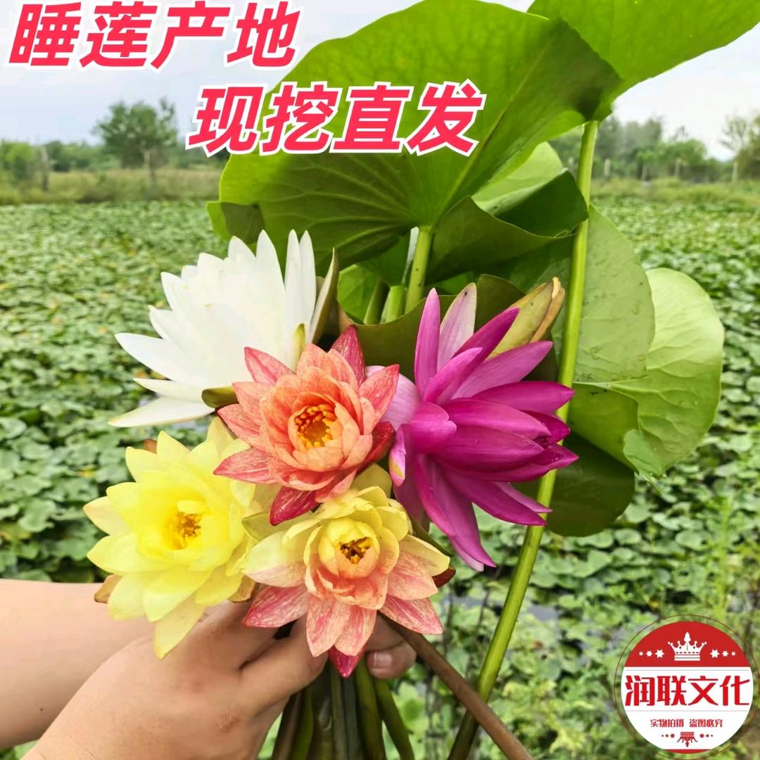 润联文化