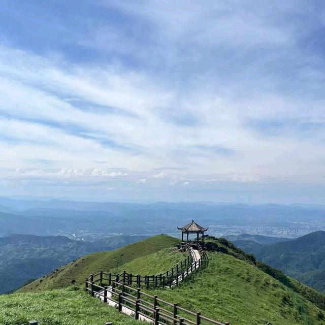 木子羽