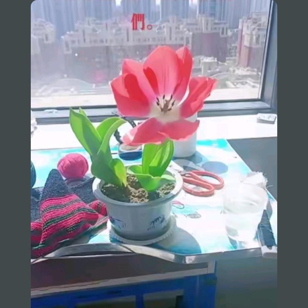 张桂敏