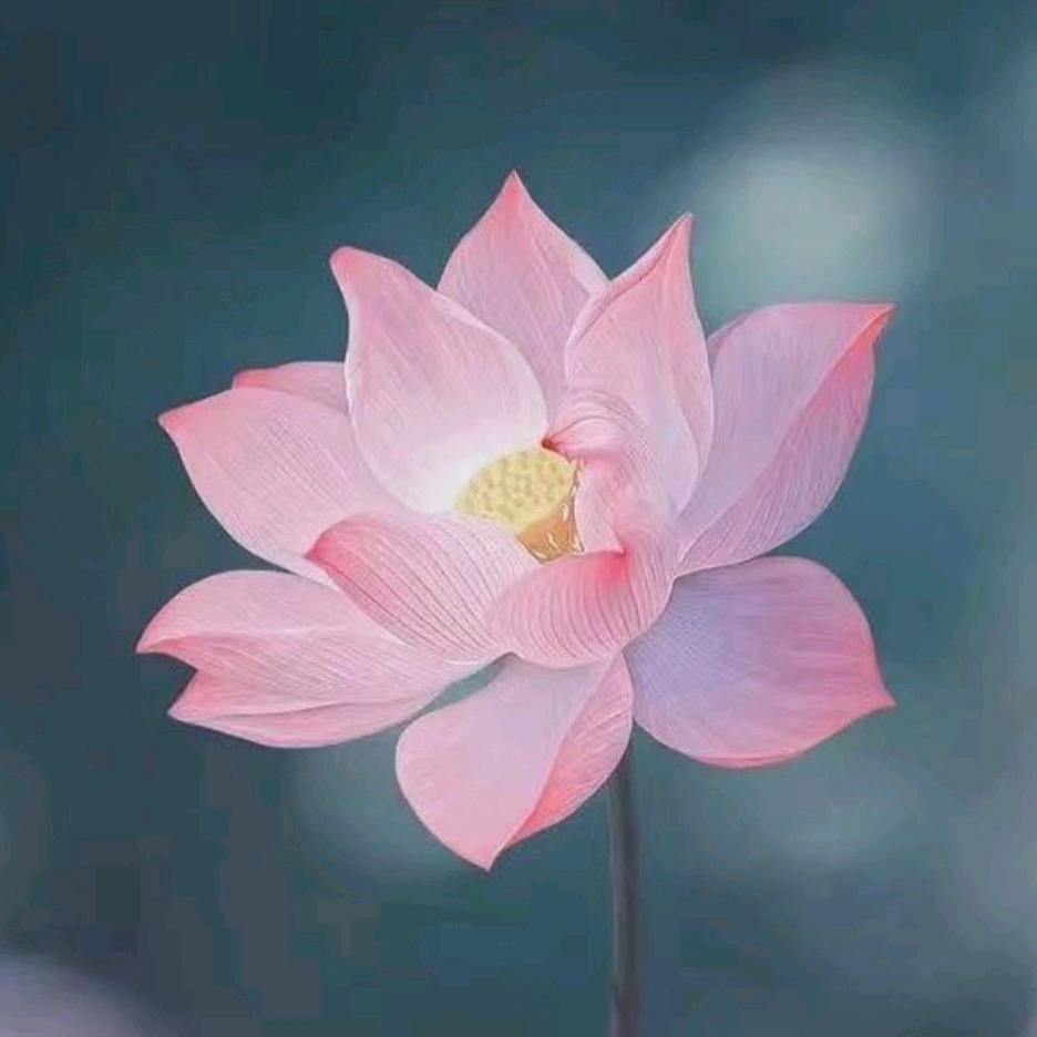 🥀ঞ施主請留步💞࿐