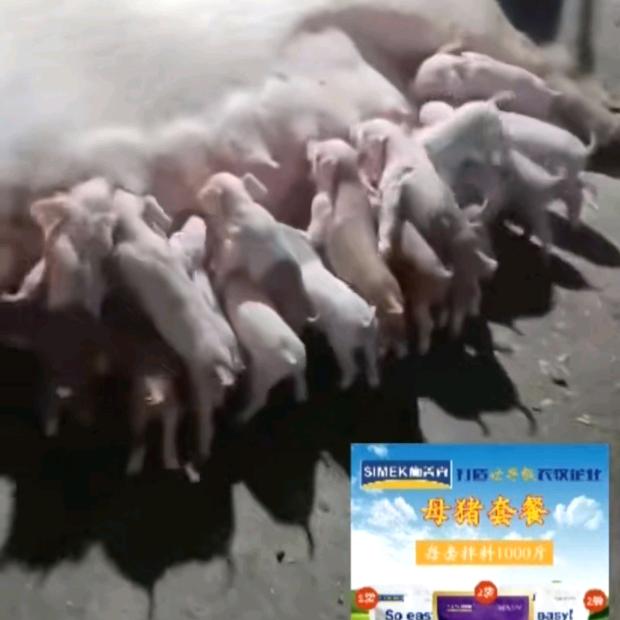 我爱生活