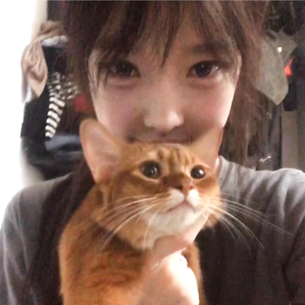 小羊肖恩&