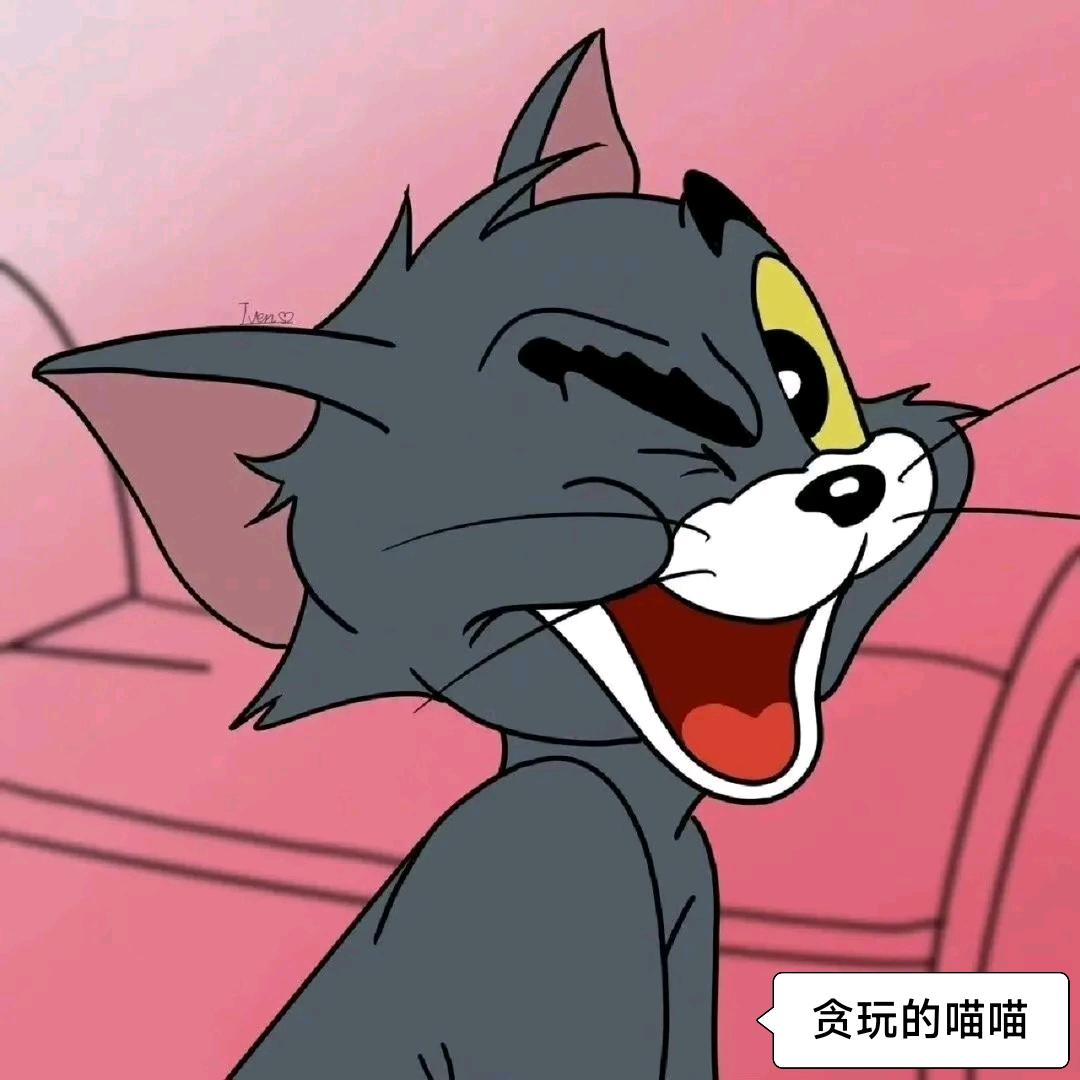 贪玩的喵喵