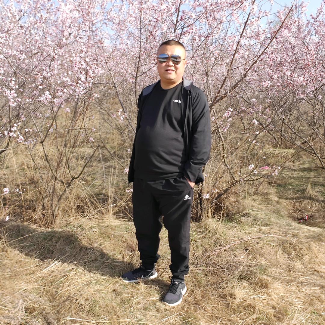 小马哥