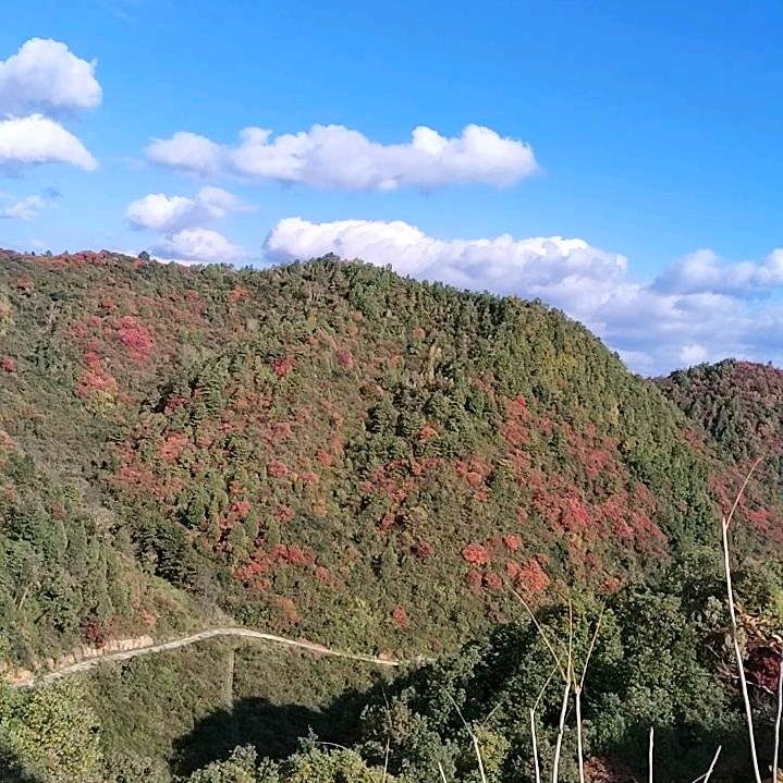 冬天的一把火。