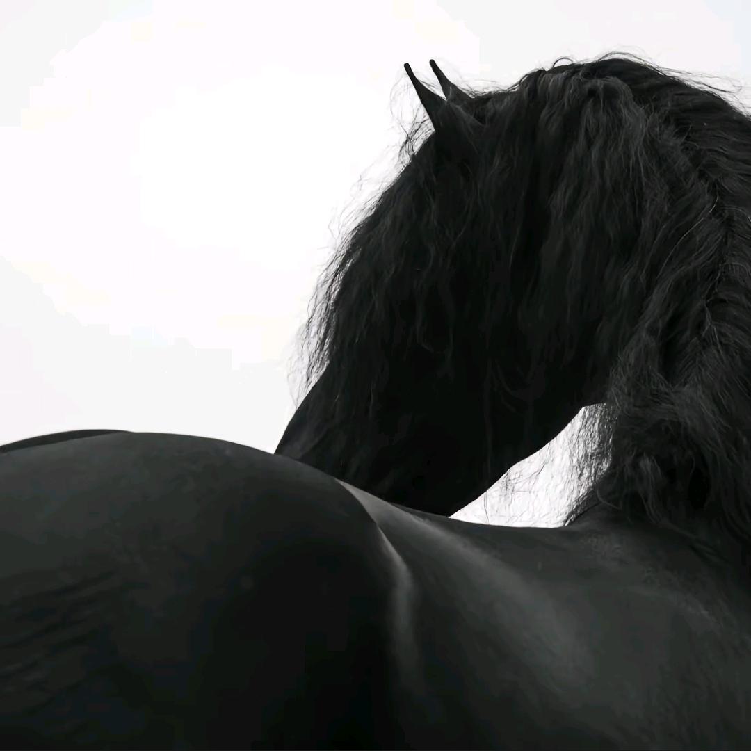 ☽ 。
