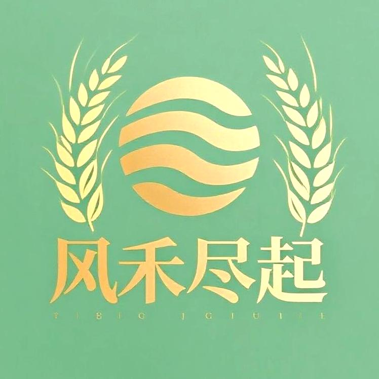 风禾尽起电子科技优选店