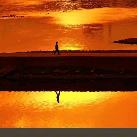 向阳而生🙏🏻