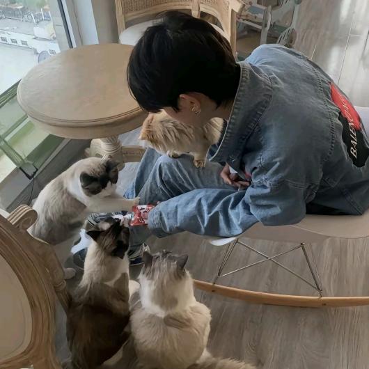 耳朵看不见