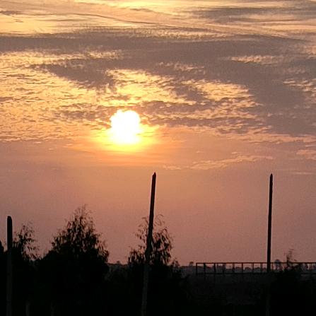 🎄小熊飞了🌷