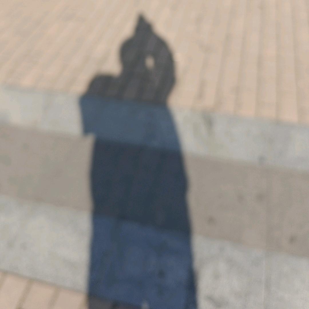 小仙儿