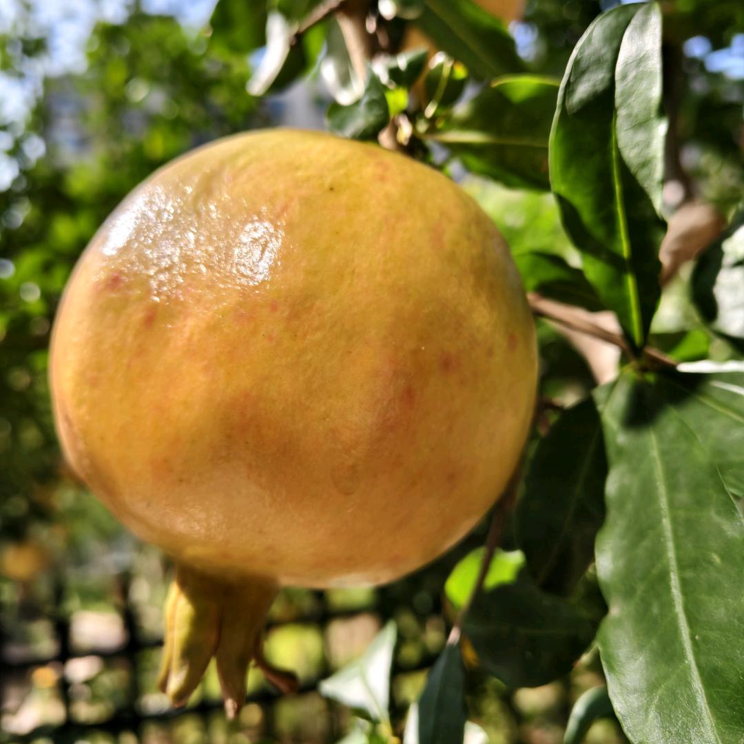 有毒、请勿靠近