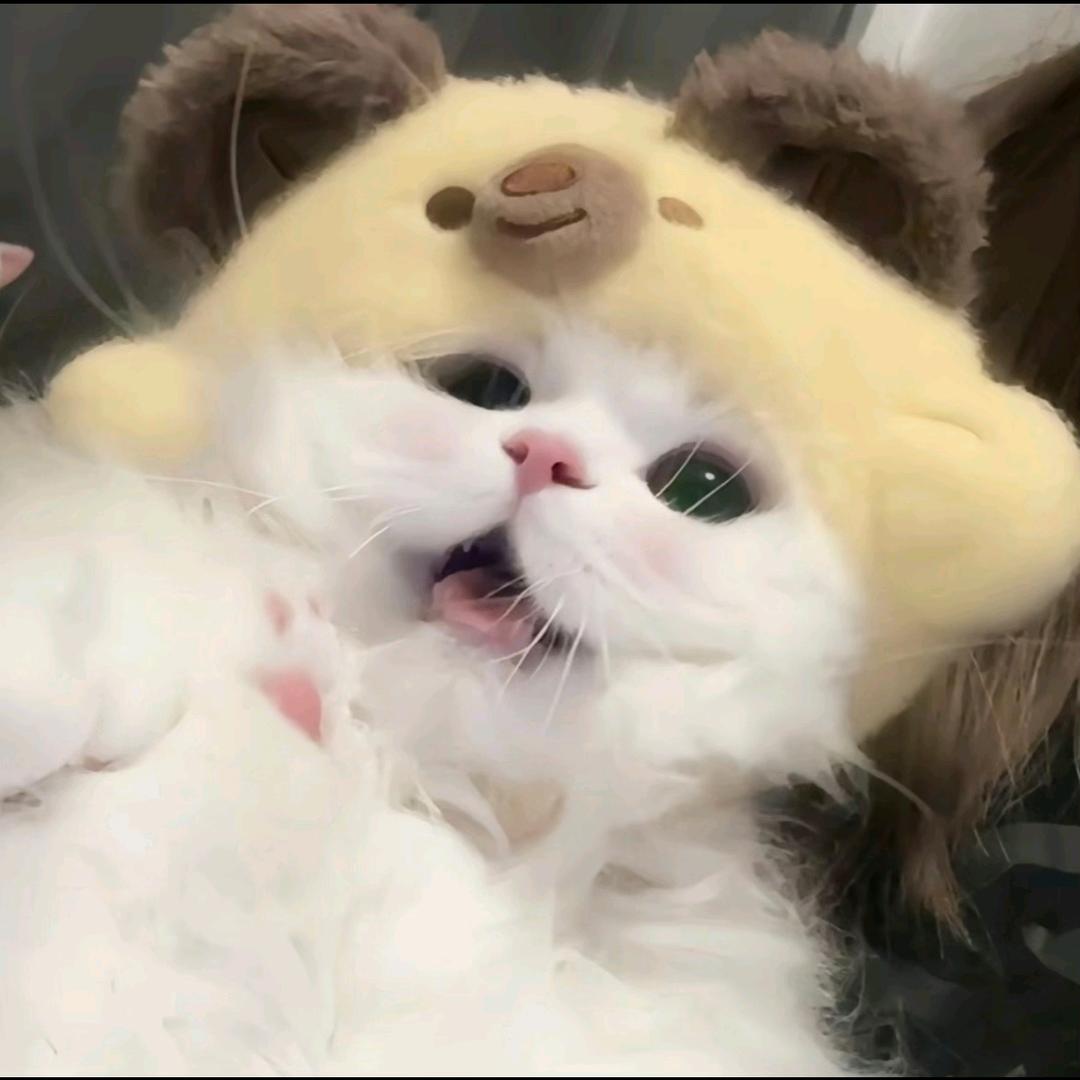 单