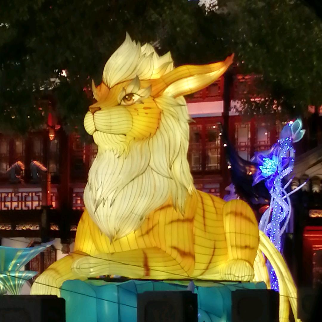 咪拖哈🐬🐬🐬