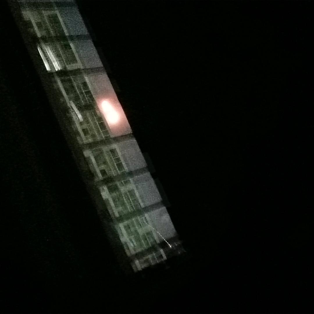 蛋仔志愿活动