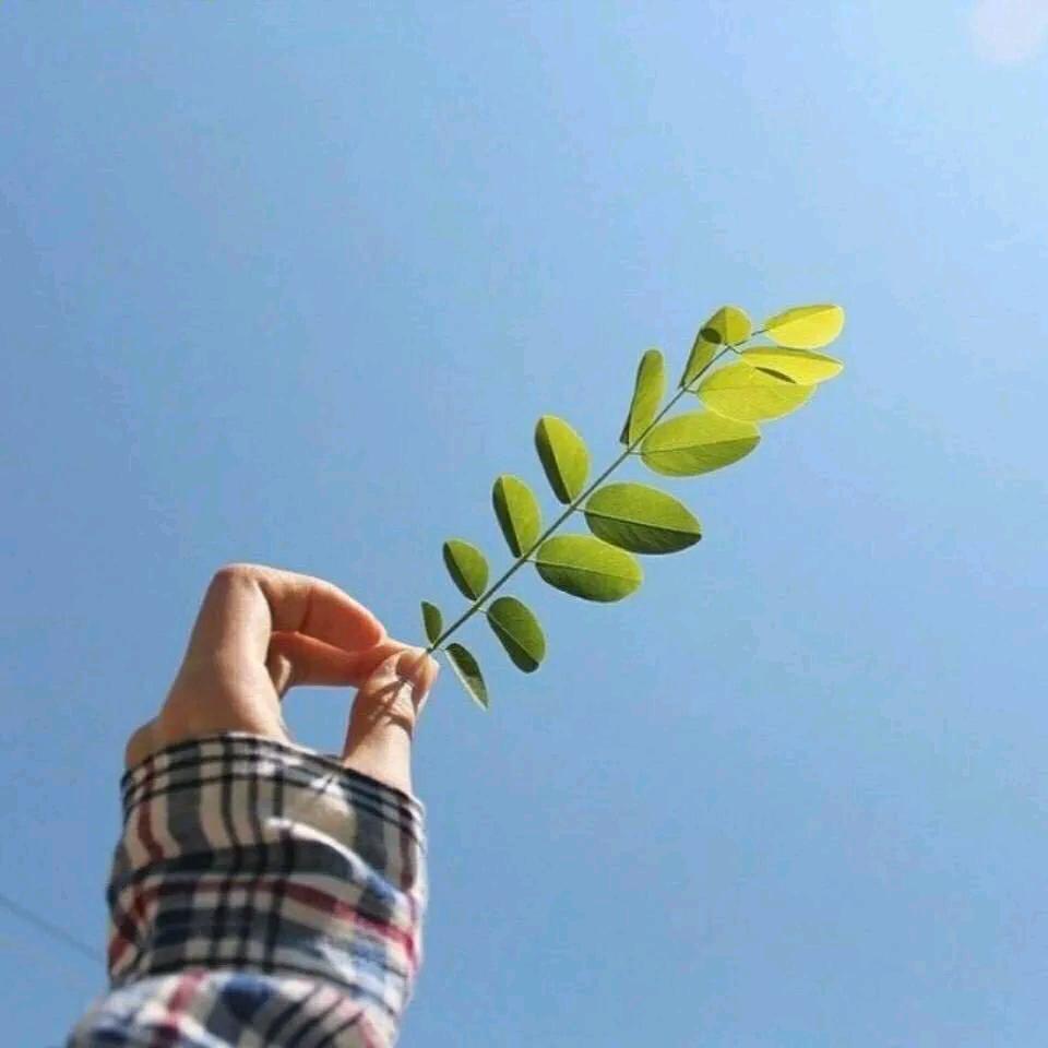 ༺ༀ༂ 海 ༂ༀ༻
