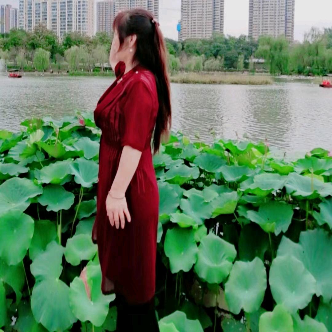 人生如梦