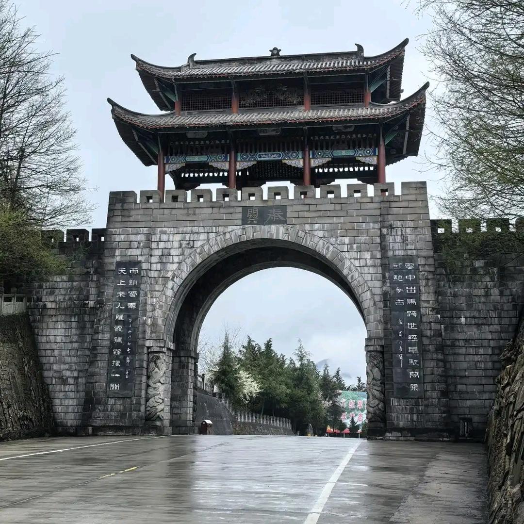 忘却星空棒棒糖