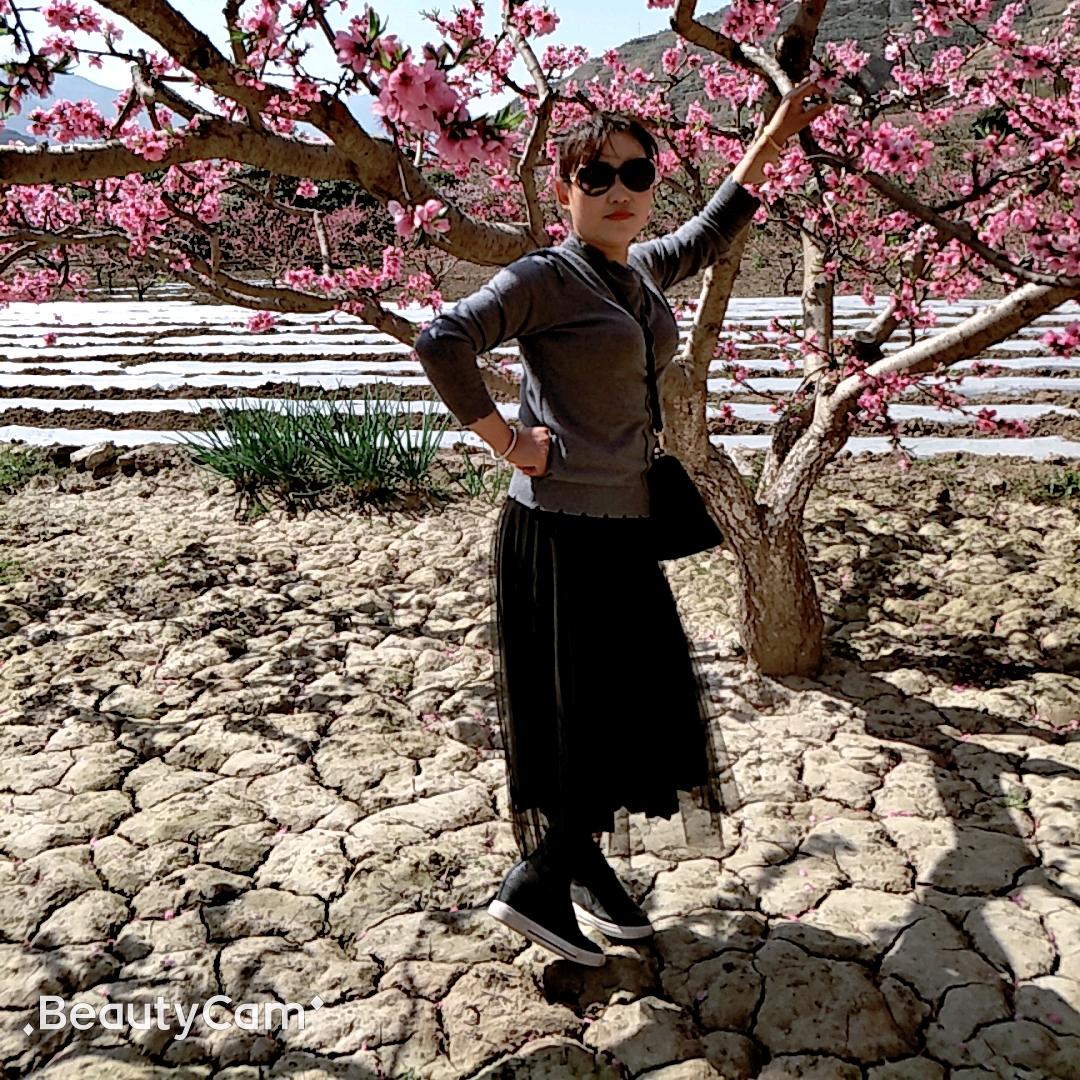 糖糖是我的心酸