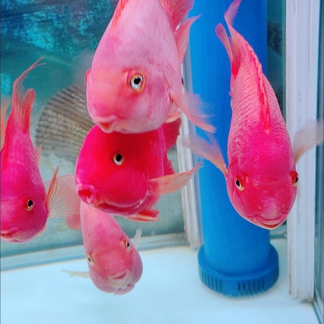 小鱼儿水族馆