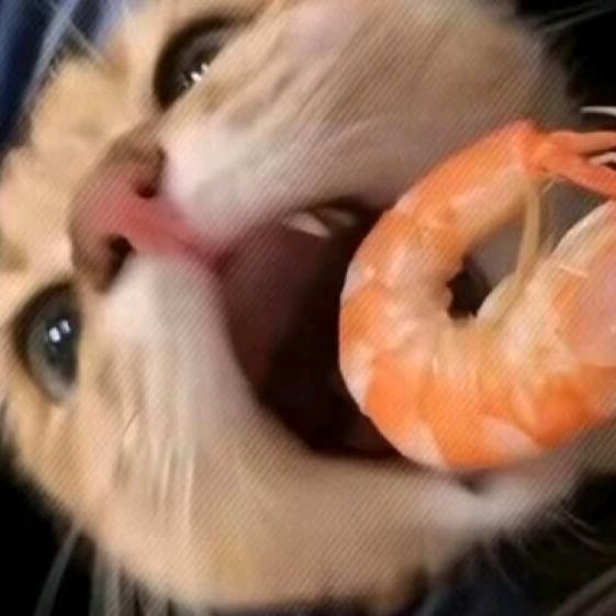 陈淀《外卖日记》