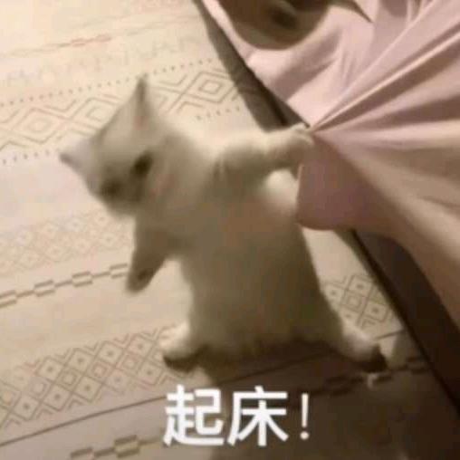 林寻