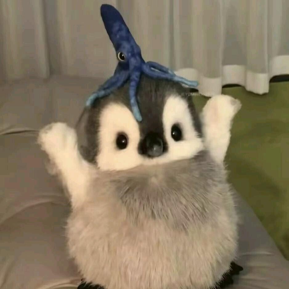 小茉莉。。。。(宝妈版)