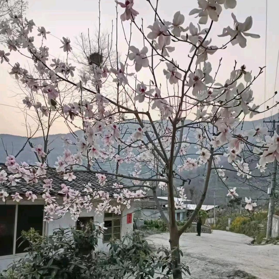 岁月如梭