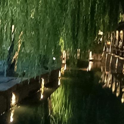 一个远嫁的农村姑娘。