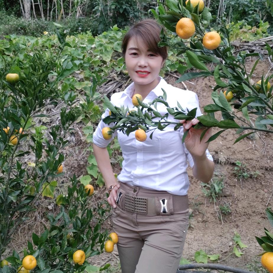 杨桂英