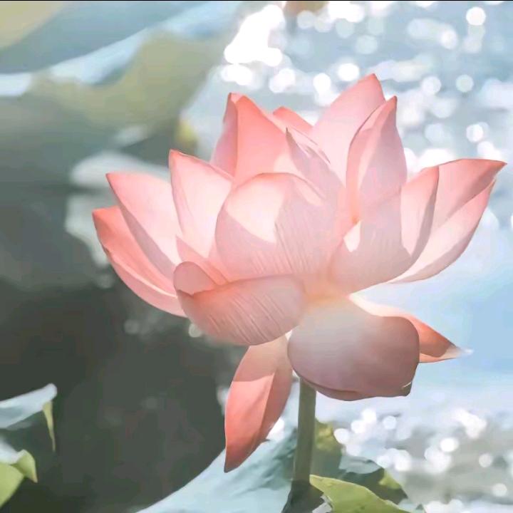 幸福美满一家人