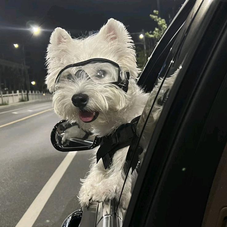 加载区