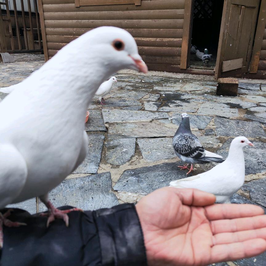 ……陕西断桥铝安装打胶……小杨