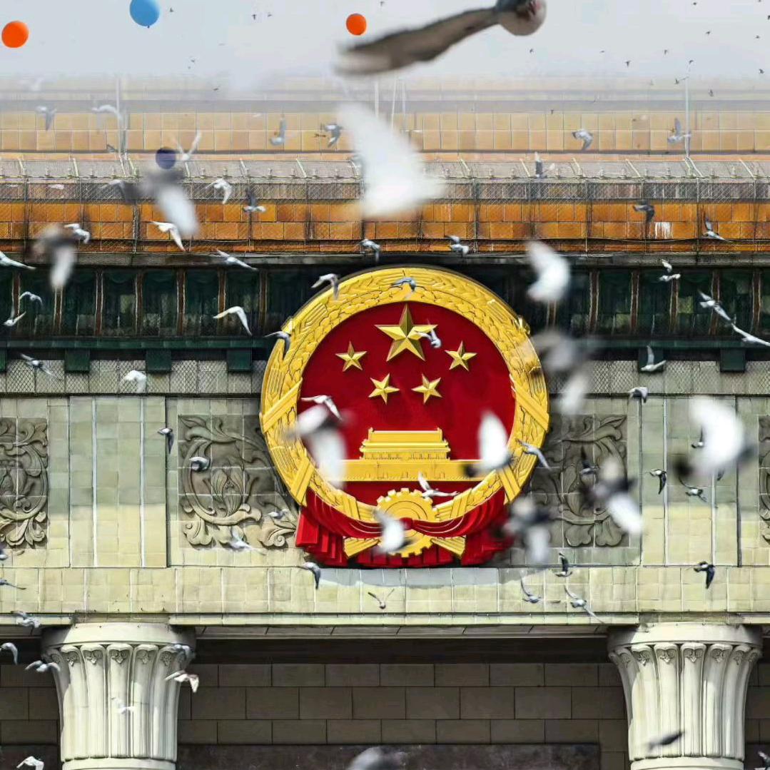 小杨