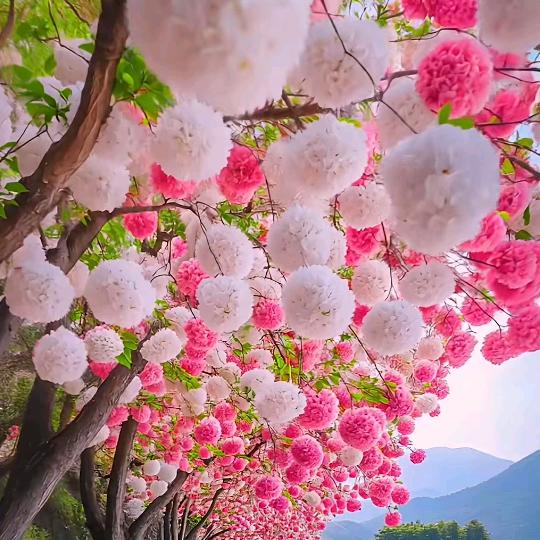 春暖花开