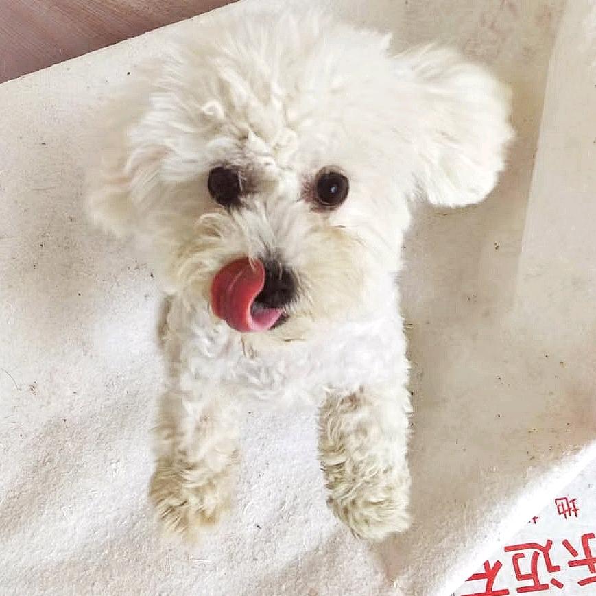 福宝成长记