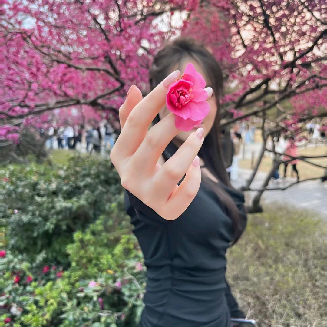 ˚𑁍回忆🌸里的那个人