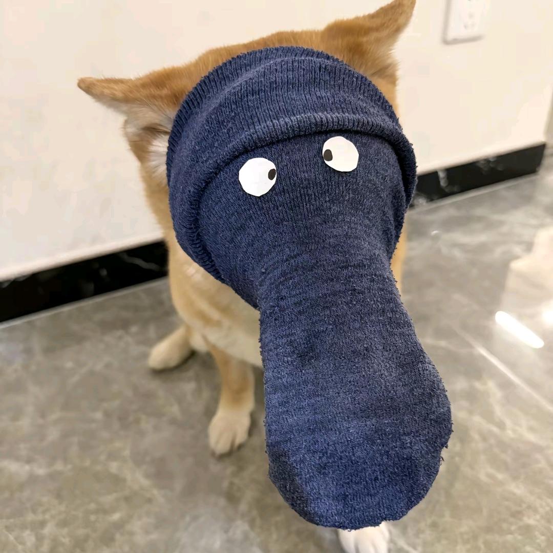 我不是人机