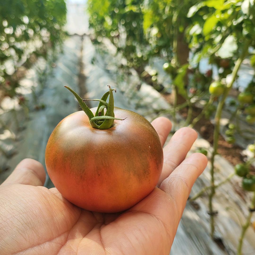 南山理想农场（济南师傅）