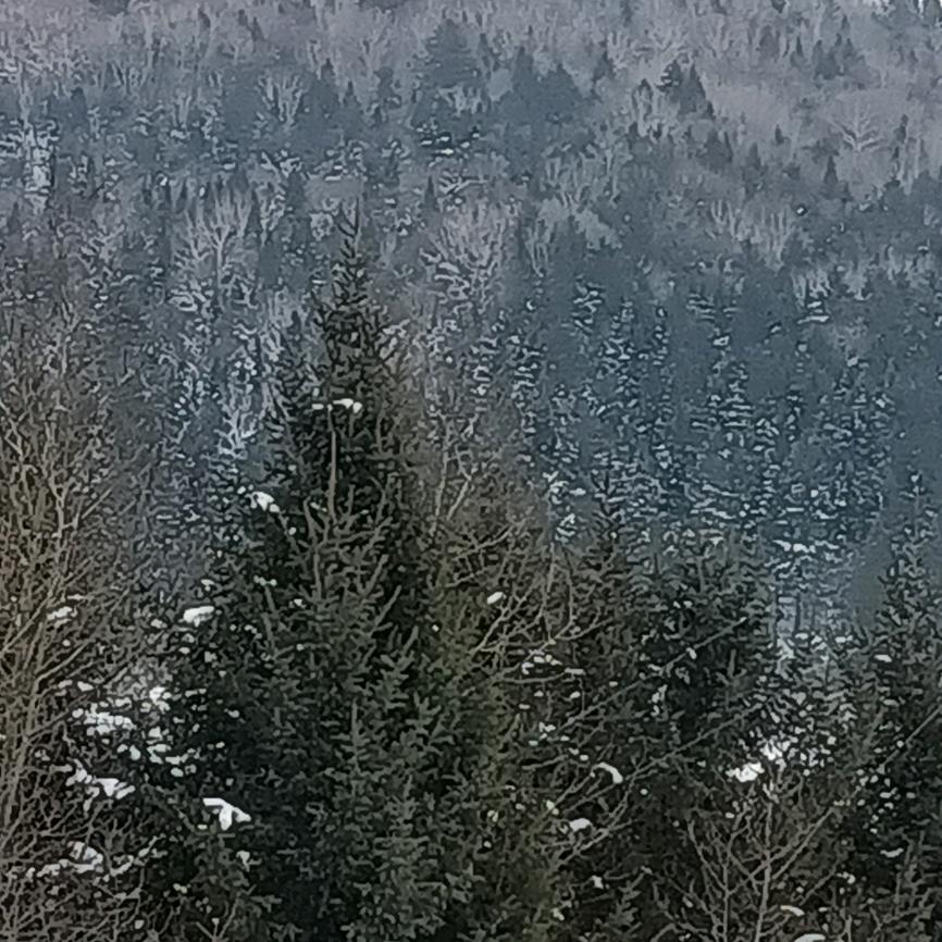 一薪一亿战胜自己