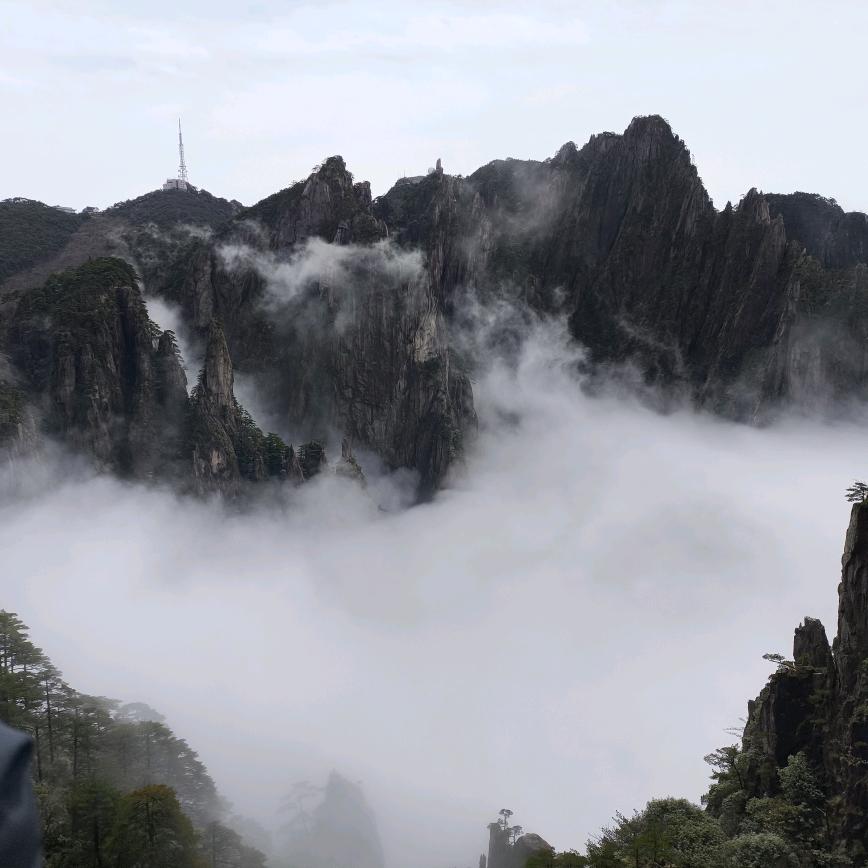 低语
