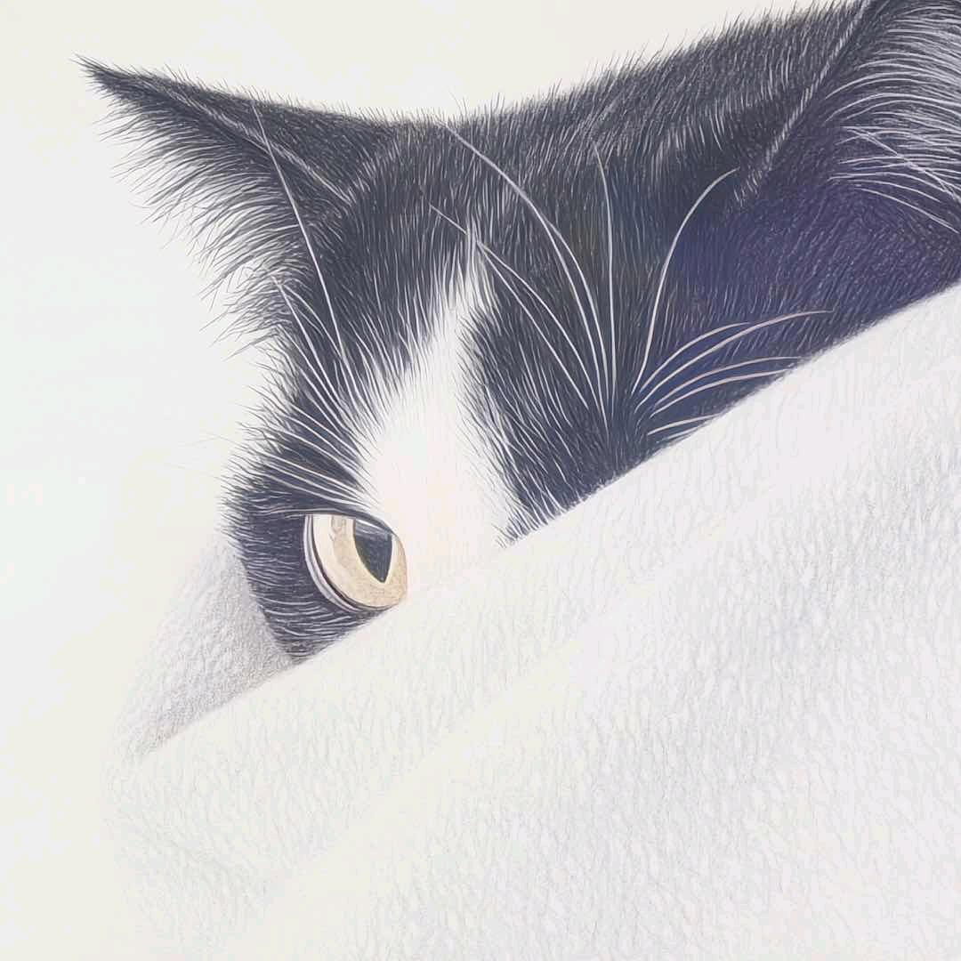 期待未来