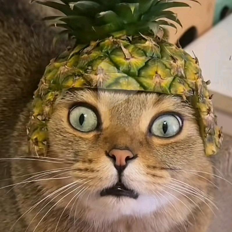 暴走的鱼