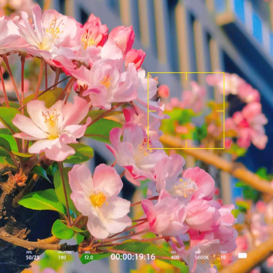 情深缘浅